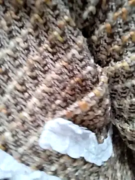 Sinejdk3 online show from 7, 1, 2026