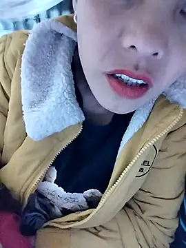 Sinejdk3 online show from 12, 2, 2026