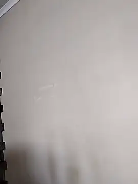 Snapshot of ManualMargay chatting on 4, 11, 2025 ManualMargay online show from 4, 11, 2025