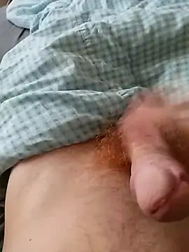 bodrika online show from 17, 2, 2026