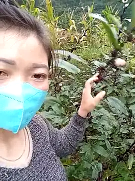 qychiu online show from 13, 11, 2025