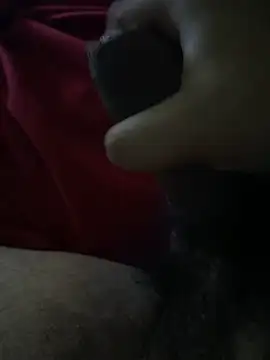 pollagorda 05 online show from 25, 10, 2025