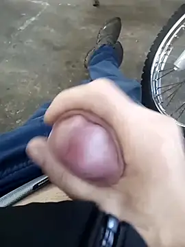 bemmagrinho36 online show from 23, 9, 2025