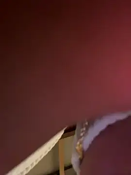 StylishEchium online show from 29, 11, 2025