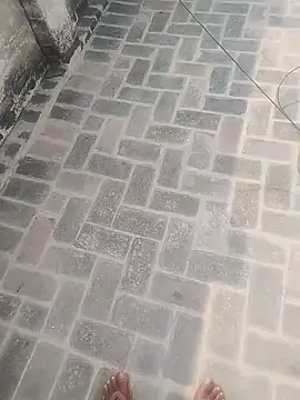 Snapshot of PunjabiSardarBull chatting on 20, 11, 2025 PunjabiSardarBull online show from 20, 11, 2025