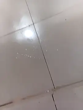 WrinkledTriops online show from 31, 3, 2026