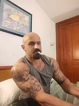 Visto36 online show from 14, 7, 2026