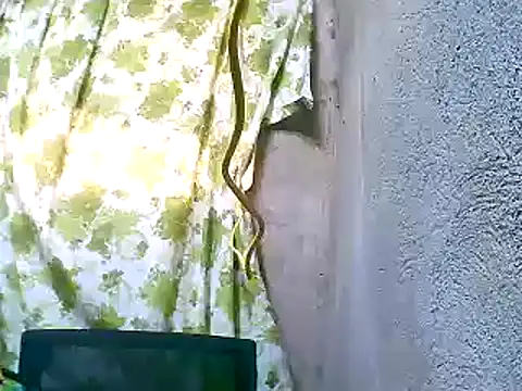 Sweeetgurll online show from 5, 11, 2025