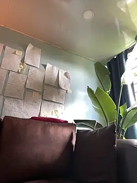 Canneela online show from 11, 3, 2026