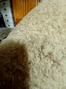 Ahalm online show from 16, 11, 2025