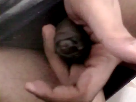 Bakasur 19 online show from 9, 10, 2025