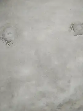 kute-00 online show from 8, 2, 2026