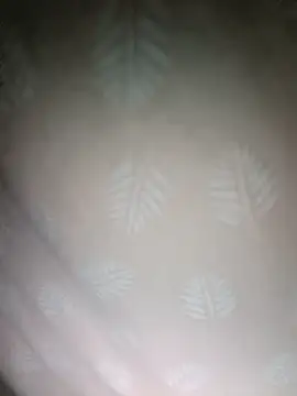 Snapshot of xxminou chatting on 26, 11, 2025 xxminou online show from 26, 11, 2025