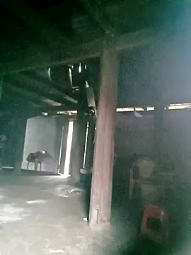 ngan-cute online show from 16, 10, 2025