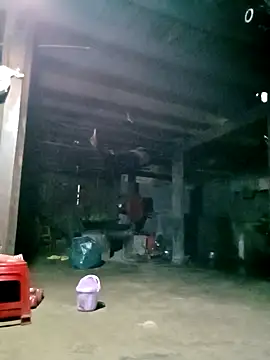 ngan-cute online show from 23, 2, 2026