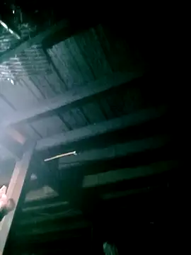 ngan-cute online show from 5, 3, 2026