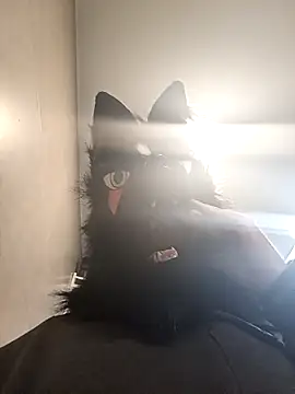 Snapshot of Wolf_Okami_SP chatting on 14, 1, 2026 Wolf Okami SP online show from 14, 1, 2026