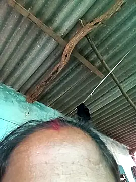 Hot-honi online show from 13, 9, 2025