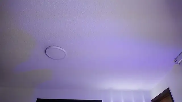  Charlotte Collins  online show from 3, 11, 2025