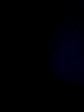 hisandhers4u online show from 2, 3, 2026