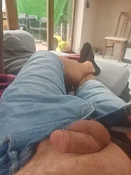 stunning stallion online show from 9, 9, 2025