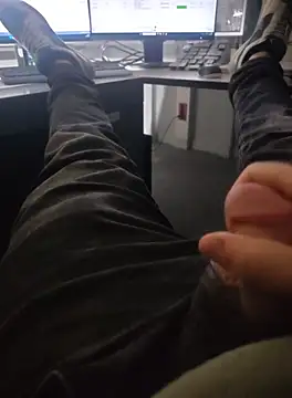 stunning stallion online show from 18, 10, 2025