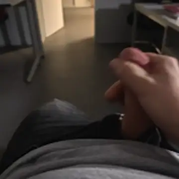 stunning stallion online show from 24, 11, 2025