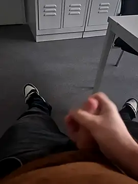 stunning stallion online show from 11, 1, 2026