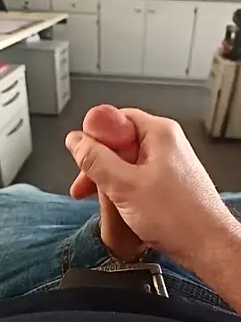 stunning stallion online show from 25, 2, 2026