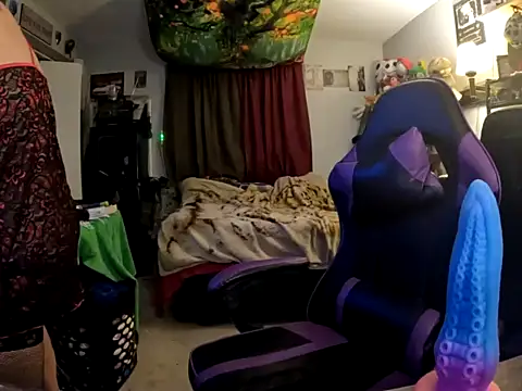 R4inbowK1tty online show from 5, 2, 2026