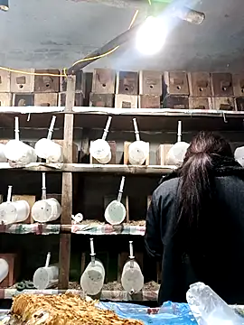 Snapshot of AnHa19 chatting on 14, 3, 2026 AnHa19 online show from 14, 3, 2026