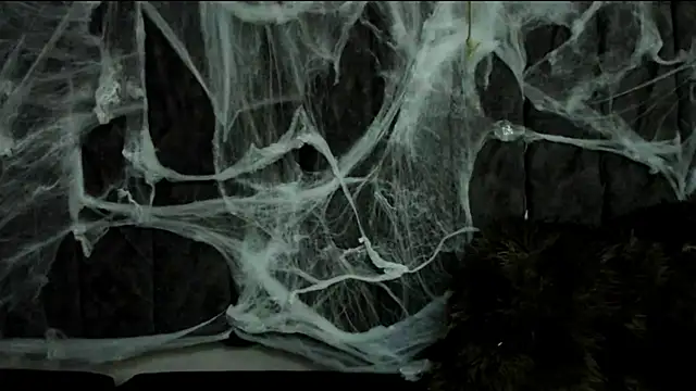 Rowan Mills online show from 10, 10, 2025