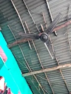 Pooja750 online show from 21, 12, 2025