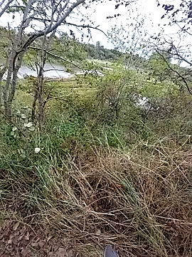 Snapshot of slaveman4you chatting on 18, 9, 2025 slaveman4you online show from 18, 9, 2025