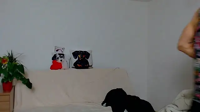 ZeinMiracles online show from 29, 11, 2025