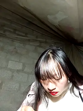 tcm-cute online show from 25, 11, 2025