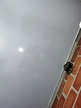 Perropa online show from 27, 2, 2026