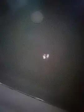 Perropa online show from 8, 3, 2026