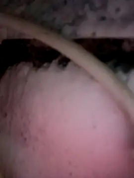 Payal950 online show from 2, 12, 2025