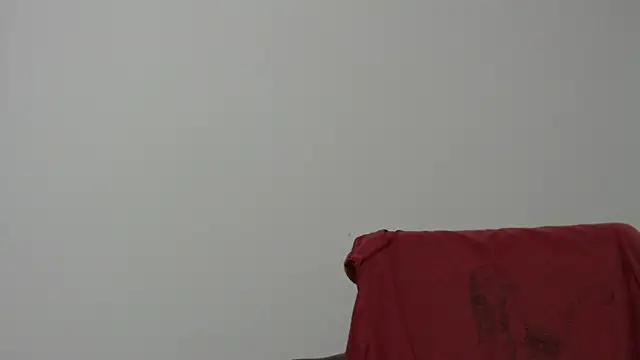 Snapshot of Rocky_Muscle chatting on 5, 2, 2026 Rocky Muscle online show from 5, 2, 2026