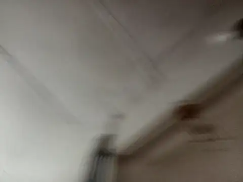 isabella brown1 online show from 19, 3, 2026