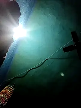 Nehaja33e online show from 25, 11, 2025