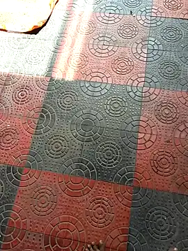 Telugu coupul online show from 11, 10, 2025