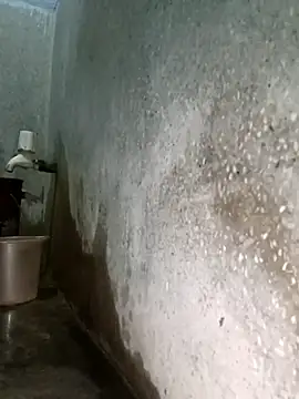 Mr xxx007xh online show from 3, 2, 2026