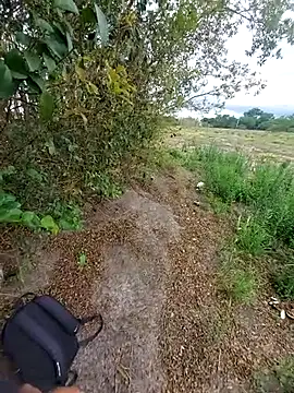 Snapshot of magraocam chatting on 6, 11, 2025 magraocam online show from 6, 11, 2025