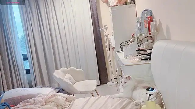 jiajia 0902 online show from 19, 3, 2026