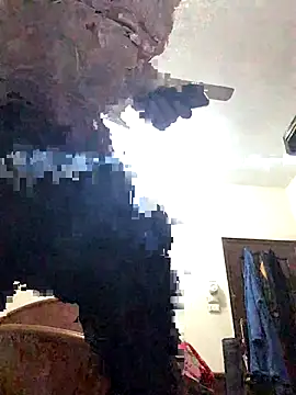 Snapshot of FlungBergenia chatting on 21, 12, 2025 FlungBergenia online show from 21, 12, 2025