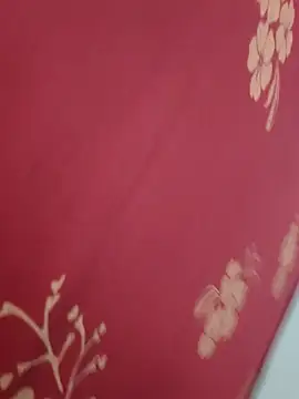 Snapshot of Bangalore-Seema chatting on 17, 9, 2025 Bangalore-Seema online show from 17, 9, 2025