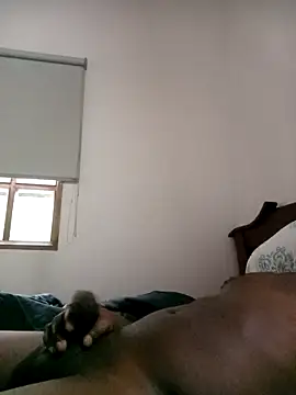 sharpei online show from 24, 3, 2026