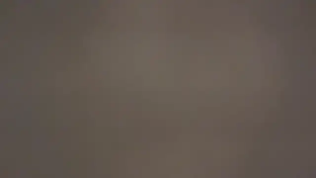 Snapshot of floridatwink2005 chatting on 3, 10, 2025 floridatwink2005 online show from 3, 10, 2025